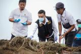 Tim Labfor Polda Jatim mengambil sampel barang bukti narkotika jenis ganja saat pemusnahan barang bukti di Lapangan Air Weapon Range (AWR) Pandanwangi, Lumajang, Jawa Timur, Jumat (6/12/2024). Polres Lumajang memusnahkan barang bukti narkotika jenis ganja sejumlah 47.169 batang pohon hidup, 52 batang pohon kering, dan 9,950 gram daun kering hasil penindakan temuan ladang ganja di kawasan TNBTS yang melibatkan 14 tersangka. ANTARA Jatim/Irfan Sumanjaya/mas.