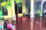 Banjir rendam wilayah selatan Kotim