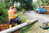 Bertahap, PLN berhasil pulihkan kelistrikan pascacuacaekstrem di beberapa wilayah Jawa Barat