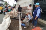 Pemkab Kudus minta kerusakan jalan dampak proyek drainase diperbaiki