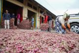 Pekerja menimbang bawang merah di Pasar Bawang Kabupaten Probolinggo, Jawa Timur, Senin (9/12/2024). Badan Pusat Statistik (BPS) Jawa Timur mencatat inflasi sebesar 0,24 persen month to month pada November 2024 yang dipengaruhi oleh naiknya beberapa harga komoditas seperti bawang merah, tomat, dan emas buntut dari produksi harga bawang merah dan tomat yang menurun sejak Oktober 2024 dan tren kenaikan harga emas dunia sehingga berpengaruh signifikan terhadap kenaikan harga di seluruh kabupaten/kota di Jawa Timur.  Antara Jatim/Irfan Sumanjaya/Um