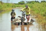 Penyedia jasa menyeberangkan pengendara sepeda motor melewati Jalan Lintas Jambi-Berbak yang terendam air di Gedong Karya, Muaro Jambi, Jambi, Minggu (8/12/2024). Banjir yang terjadi sejak seminggu terakhir akibat meluapnya air Sungai Batanghari di jalan provinsi yang menghubungkan Kabupaten Muaro Jambi dengan Tanjung Jabung Timur itu dimanfaatkan warga sekitar untuk membuka jasa penyeberangan sepeda motor dengan tarif Rp10 ribu per motor. ANTARA FOTO/Wahdi Septiawan/tom.
