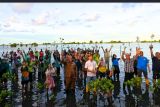 Kolaborasi Traveloka dan CARE Indonesia perkuat proteksi ekosistem mangrove di Pulau Bintan