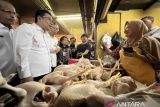 Harga pangan pada Rabu, daging ayam naik jadi Rp36.710 per kg