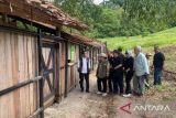Four Javan bulls released to restore population