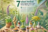 7 obat herbal terbaik untuk meningkatkan nafsu makan, solusi alami yang terbukti