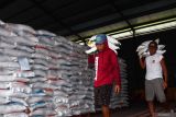 Pekerja mengangkut beras untuk didistribusikan di Gudang Bulog Jeruk Gulung Kabupaten Madiun, Jawa Timur, Selasa (10/12/2024). Kemenko Bidang Pangan menyatakan stok beras secara nasional mencapai 8 juta ton hingga akhir Desember 2024, sehingga tidak diperlukan lagi tambahan impor termasuk tahun depan. Antara Jatim/Siswowidodo/mas.