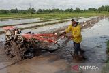 Pemkab Bantul intervensi petani sisi produksi melalui bantuan mesin pertanian