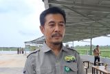 Rumah Sakit Gajah untuk minimalkan kematian gajah