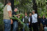 Menhut siapkan kawasan hutan untuk bioethanol mendukung swasembada energi