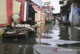 Warga melintasi genangan banjir rob di Kampung Dadap, Kosambi, Kabupaten Tangerang, Banten, Minggu (15/12/2024). Badan Penanggulangan Bencana Daerah (BPBD) Kabupaten Tangerang menyebutkan sebanyak 1.963 jiwa di tiga rukun warga (RW) terdampak banjir rob sejak Jumat (13/12). ANTARA FOTO/Sulthony Hasanuddin/gp