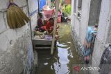 Warga duduk di atas kursi saat banjir rob merendam Kampung Dadap, Kosambi, Kabupaten Tangerang, Banten, Minggu (15/12/2024). Badan Penanggulangan Bencana Daerah (BPBD) Kabupaten Tangerang menyebutkan sebanyak 1.963 jiwa di tiga rukun warga (RW) terdampak banjir rob sejak Jumat (13/12). ANTARA FOTO/Sulthony Hasanuddin/gp