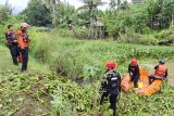 Eceng gondok serang sungai dan bikin banjir di Ciamis, BPBD turun tangan