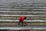 Petani melubangi plastik mulsa di Unyur, Kota Serang, Banten, Minggu (15/12/2024). Menurut petani, penggunaan plastik mulsa pada media tanam tersebut untuk menjaga kelembaban tanah tetap stabil dan menghambat pertumbuhan gulma saat musim hujan. ANTARA FOTO/Putra M. Akbar/gp