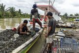 Nelayan memilah hasil tangkapan kerang hijau di Karangantu, Kota Serang, Banten, Minggu (15/12/2024).  Menurut pelaku usaha, produksi kerang hijau saat ini mengalami penurunan hingga 50 persen dari produksi dua ton menjadi satu ton karena cuaca buruk dan gelombang tinggi yang mengakibatkan nelayan sulit melaut. ANTARA FOTO/Putra M. Akbar/gp