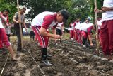 Polda NTT ubah lahan tidur menjadi lahan produktif demi ketahanan pangan