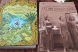 Cermin retak masa kolonial dalam kritik poskolonial sastra Hindia Belanda