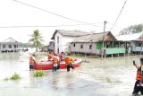 Ratusan rumah di Lampung Selatan terendam banjir