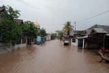 376 unit rumah di Kabupaten Bima terendam banjir