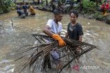 Sejumlah warga mengangkut sampah dari aliran Sungai Sumur Tujuh saat acara Kick Off Hari Kesetiakawanan Sosial Nasional (HKSN) 2024 di Desa Talaga, Mancak, Kabupaten Serang, Banten, Senin (16/12/2024). Kegiatan kerja bakti membersihkan dan merevitalisasi sungai sepanjang satu kilometer yang diikuti oleh 250 orang tersebut sebagai bagian dari HKSN yang diperingati setiap 20 Desember. ANTARA FOTO/Putra M. Akbar/gp