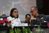 Berikut daftar barang dan jasa yang terkena PPN 12 persen mulai 1 Januari 2025