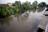 Warga melintas jalan perumahan yang terendam banjir di perumahan Mutiara Citra Asri, Candi, Sidoarjo, Jawa Timur, Selasa (17/12/2024). Hujan deras yang mengguyur wilayah Sidoarjo selama seminggu terakhir merendam ratusan rumah setinggi sekitar 25 - 50 cm. Antara Jatim/Umarul Faruq