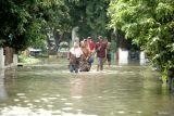 Warga melintas jalan perumahan yang terendam banjir di perumahan Mutiara Citra Asri, Candi, Sidoarjo, Jawa Timur, Selasa (17/12/2024). Hujan deras yang mengguyur wilayah Sidoarjo selama seminggu terakhir merendam ratusan rumah setinggi sekitar 25 - 50 cm. Antara Jatim/Umarul Faruq