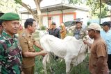 Pemkab Sigi tingkatkan kesejahteraan masyarakat dengan pemberdayaan peternak