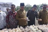 SMKN 1 Pasaman adakan model pembelajaran berbasis produksi