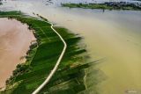 Foto udara kondisi persawahan yang terendam banjir di Baureno, Bojonegoro, Jawa Timur, Rabu (18/12/2024). Ratusan hektar lahan pertanian di kawasan itu terendam banjir akibat luapan Sungai Bengawan Solo. Antara Jatim/Muhammad Mada/um