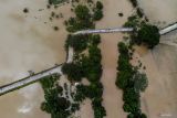 Foto udara kondisi persawahan yang terendam banjir di Baureno, Bojonegoro, Jawa Timur, Rabu (18/12/2024). Ratusan hektar lahan pertanian di kawasan itu terendam banjir akibat luapan Sungai Bengawan Solo. Antara Jatim/Muhammad Mada/um