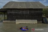 Seorang anak bermain air saat banjir rob di Kampung Cerocoh, Desa Domas, Kabupaten Serang, Banten, Rabu (18/12/2024). Balai Besar Meteorologi, Klimatologi dan Geofisika (BBMKG) Wilayah II mengimbau warga yang berada di pesisir wilayah Banten untuk mewaspadai terjadinya banjir rob hingga 20 Desember 2024 yang diakibatkan pasangnya air laut. ANTARA FOTO/Putra M. Akbar/gp