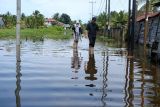 Dua warga berjalan melintasi jalan yang tergenang banjir rob di Sungai Kakap, Kabupaten Kubu Raya, Kalimantan Barat, Selasa (17/12/2024). BMKG Kalbar memprakirakan puncak air pasang di Kota Pontianak dan sekitarnya terjadi pada 18-20 Desember 2024. ANTARA FOTO/Jessica Wuysang/tom.