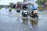 Pengendara sepeda motor melintasi jalan yang tergenang banjir rob di Sungai Kakap, Kabupaten Kubu Raya, Kalimantan Barat, Selasa (17/12/2024). BMKG Kalbar memprakirakan puncak air pasang di Kota Pontianak dan sekitarnya terjadi pada 18-20 Desember 2024. ANTARA FOTO/Jessica Wuysang/tom.