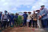 Minamas Plantation tanam perdana kebun kemitraan untuk kesejahteraan masyarakat