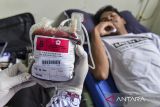 Petugas menunjukkan kantong berisi darah saat kegiatan donor darah di Universitas Banten Jaya, Kota Serang, Banten, Kamis (19/12/2024). Menurut data Palang Merah Indonesia (PMI) per Rabu (18/12), ketersediaan darah di wilayah Banten jelang hari Natal dan Tahun Baru 2024 hanya mencapai 3.441 stok kantong darah dari target aman sebanyak 5.000 kantong darah dan saat ini PMI setempat memacu ketersediaan darah. ANTARA FOTO/Putra M. Akbar/gp