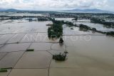 Foto udara lahan persawahan yang terendam banjir di Kasemen, Kota Serang, Banten, Rabu (18/12/2024). Dinas Pertanian Provinsi Banten mencatat sebanyak 7.882,4 hektare sawah di wilayah Banten terendam banjir akibat tingginya curah hujan sehingga membuat petani terancam gagal panen. ANTARA FOTO/Putra M. Akbar/gp/nym.