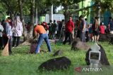 Sejumlah warga membawa berbagai peralatan membersihkan Kuburan Massal Tsunami Aceh di Banda Aceh, Aceh, Jumat (20/12/2024).  Aksi Jumat bersih melibatkan ribuan warga di Kuburan Massal Tsunami, Gedung Pemyelamatan Tsunami, Masjid dan sejumlah lokasi bencana lainnya itu dalam rangka memperingati 20 tahun bencana tsunami Aceh pada 26 Desember. ANTARA FOTO/Ampelsa.