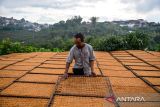 Petani menjemur tembakau yang telah di olah di Desa Genteng, Kecamatan Sukasari, Kabupaten Sumedang, Jawa Barat, Jumat (20/12/2024). Asosiasi Petani Tembakau Indonesia (APTI) meminta kepada pemerintah agar tarif cukai hasil tembakau (CHT) untuk tahun 2025, 2026 dan tahun 2027 tidak naik guna menjaga kelangsungan proses pemulihan industri hasil tembakau legal nasional. ANTARA FOTO/Raisan Al Farisi/agr