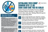 Sepanjang 2024 BNNP Sumbar sita 1,2 Kg sabu-sabu dan 766 Kg ganja