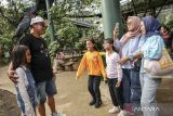 Pengunjung berfoto dengan burung kakatua raja (Probosciger aterrimus) di Jakarta Bird Land, Taman Impian Jaya Ancol, Jakarta, Sabtu (21/12/2024). Jakarta Bird Land yang merupakan objek wisata konservasi dan edukasi tentang burung dan memiliki ratusan koleksi spesies burung dari Indonesia maupun negara-negara lain tersebut dapat dijadikan salah satu rujukan wisata untuk mengisi libur Natal 2024 dan Tahun Baru 2025. ANTARA FOTO/Abdan Syakura/agr