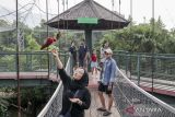 Pengunjung memberi makan burung kakatua di Jakarta Bird Land, Taman Impian Jaya Ancol, Jakarta, Sabtu (21/12/2024). Jakarta Bird Land yang merupakan objek wisata konservasi dan edukasi tentang burung dan memiliki ratusan koleksi spesies burung dari Indonesia maupun negara-negara lain tersebut dapat dijadikan salah satu rujukan wisata untuk mengisi libur Natal 2024 dan Tahun Baru 2025. ANTARA FOTO/Abdan Syakura/agr