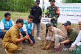 PLN Baturaja lakukan penanaman pohon produktif di sepanjang jalur transmisi