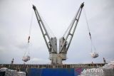 PT Pelindo Multi Terminal (SPMT) Branch Belawan memfasilitasi bongkar beras BULOG sebanyak 9.000 ton yang diangkut kapal MV Sea Noble yang  sandar di Pelabuhan Belawan, Senin (23/12/2024). Berdasarkan data dari SPMT Branch Belawan telah menangani bongkar beras BULOG sebanyak 20 kali dengan total muatan mencapai 176.882 ton untuk memenuhi kebutuhan pangan di Sumatra Utara.