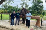 Taman Wisata Lembah hijau tempat cocok habiskan libur natal dan tahun baru