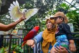 Pengunjung bercengkerama dengan burung di Taman Margasatwa dan Budaya Kinantan (Kinantan Zoo) Bukittinggi, Sumatera Barat, Minggu (22/12/2024). Pemkot Bukittinggi menargetkan kunjungan wisata selama liburan akhir tahun di kebun binatang tertua di Indonesia itu sebanyak 80 ribu orang dengan tarif masuk Rp25 ribu per orang. ANTARA FOTO/Iggoy el Fitra/agr