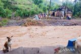 Banjir Situbondo akibatkan jembatan hanyut dan ratusan warga terisolasi