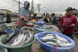 Pedagang melayani pembeli di Pasar Ikan Karangantu, Kota Serang, Banten, Jumat (27/12/2024). Kementerian Kelautan dan Perikanan memastikan pasokan perikanan aman untuk memenuhi kebutuhan masyarakat saat libur Hari Raya Natal dan Tahun Baru 2025, meskipun terdapat peningkatan kebutuhan ikan konsumsi sebesar 5,45 persen dibandingkan bulan November 2024 sebesar 0,9 juta ton menjadi 0,95 juta ton. ANTARA FOTO/Putra M. Akbar/gp