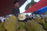 Pedagang musiman menunjukkan kualitas buah durian yang dijual di alun-alun Kota Bengkulu, Bengkulu, Kamis (26/12/2024). Pedagang musiman tersebut menjual buah durian montong mulai dari harga Rp75.000 sampai Rp100.000 per kilogram, sedangkan durian lokal berada dikisaran harga Rp10.000 sampai Rp50.000 per buah. ANTARA FOTO/Muhammad Izfaldi/Spt.