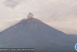 Gunung Semeru beberapa kali erupsi dengan letusan tinggi